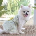 thumbnail image 1 of Ropa de moda para mascotas: vestidos modernos y elegantes para mascotas pequeñas y medianas, ideales para todas las estaciones., 1 of 7