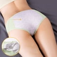 thumbnail image 5 of Puntoco Bragas para mujer, ropa interior fisiológica de cintura alta para mujer, pantalones sanitarios a prueba de fugas con bolsillo para mujer, pantalones transpirables, 5 of 5