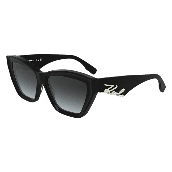 Sunglasses KARL LAGERFELD KL 6179 S 001 Black