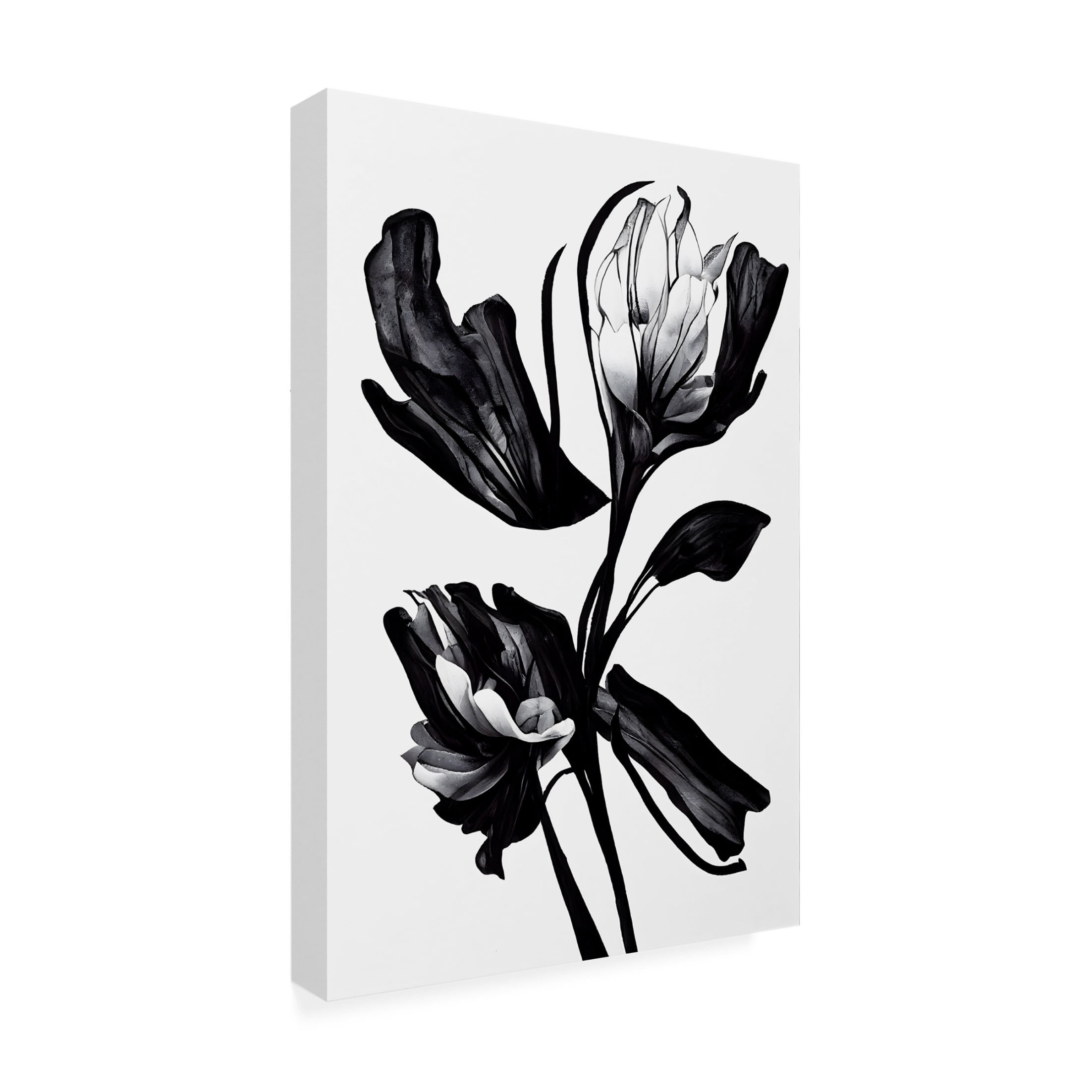 Canvas Wall Art - Treechild 'Black Flower' Wall Art for Living Room, Bedroom, or Office D?cor by Trademark Fine Art - 30 x 47 Inches