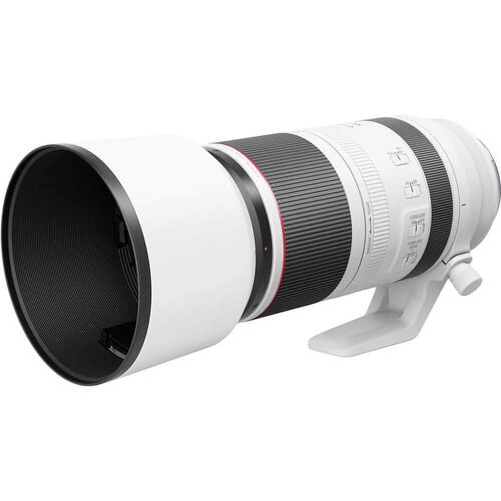 【美品】Canon RF100-500mm F4.5-7.1L IS USM Canon RF 100-500mm F4.5-7.1 L IS USM Super-Telephoto Zoom