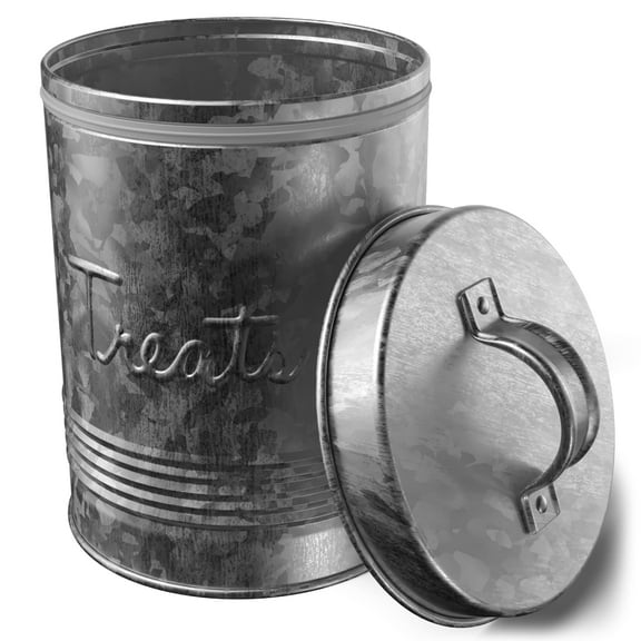 Amici Pet Retro Treats Storage 72 oz Canister With Lid for Pet Food Galvanized Metal