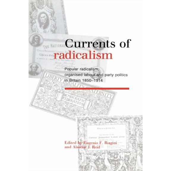 Currents of Radicalism: Popular Radicalism, Organised Labour and Party Politics in Britain, 1850 1914, (Hardcover)