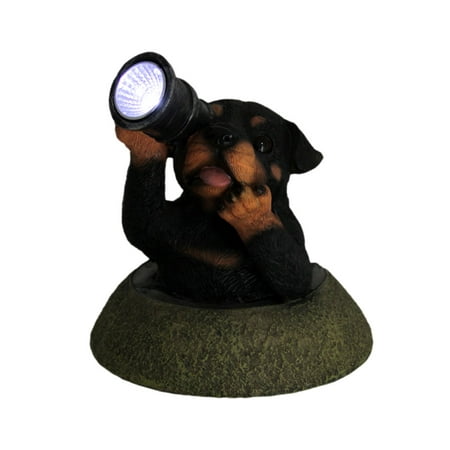 rottweiler maintenance cost adorable solar spyglass rottweiler puppy led accent light statue walmart rottweiler maintenance cost adorable solar spyglass rottweiler puppy led accent light statue walmart