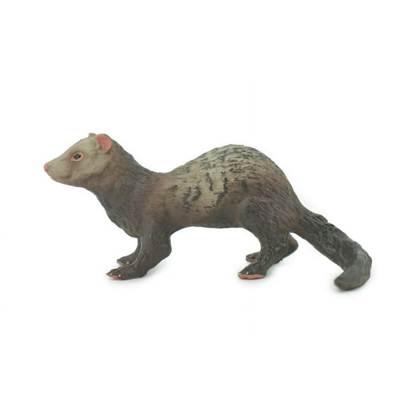 Ferret, Domesticated Weasel, Brown, Mustelidae, Museum Quality, Hand Painted, Rubber, Educational, Realistic, Lifelike, Toy, Kids, Gift, 5" CH692 BB173