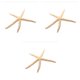 thumbnail image 1 of Cateissary Natural 5-12 cm/10-12 cm dedo blanco estrella de mar mar elegante hogar pelo boda decoración y proyecto artesanal blanco 10-12cm 3piezas, 1 of 1