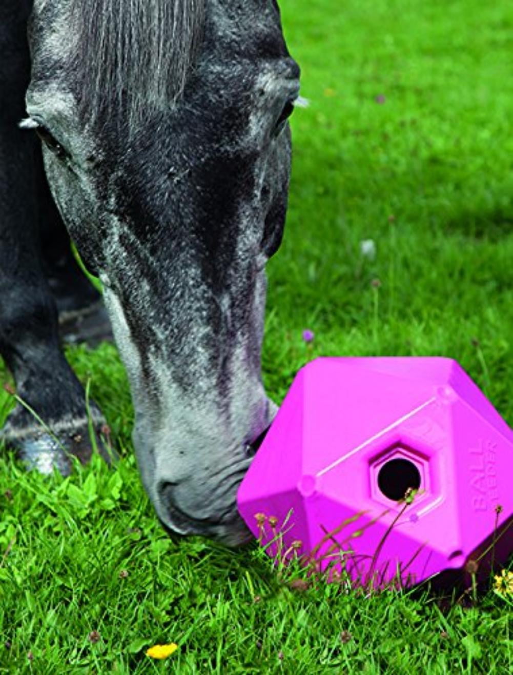 horse treat ball