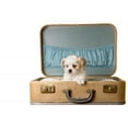 thumbnail image 2 of Tiny Puppy Vintage Suitcase Wall Mural by Wallmonkeys Peel and Stick Graphic (48 in W x 41 in H) WM94848, 2 of 4