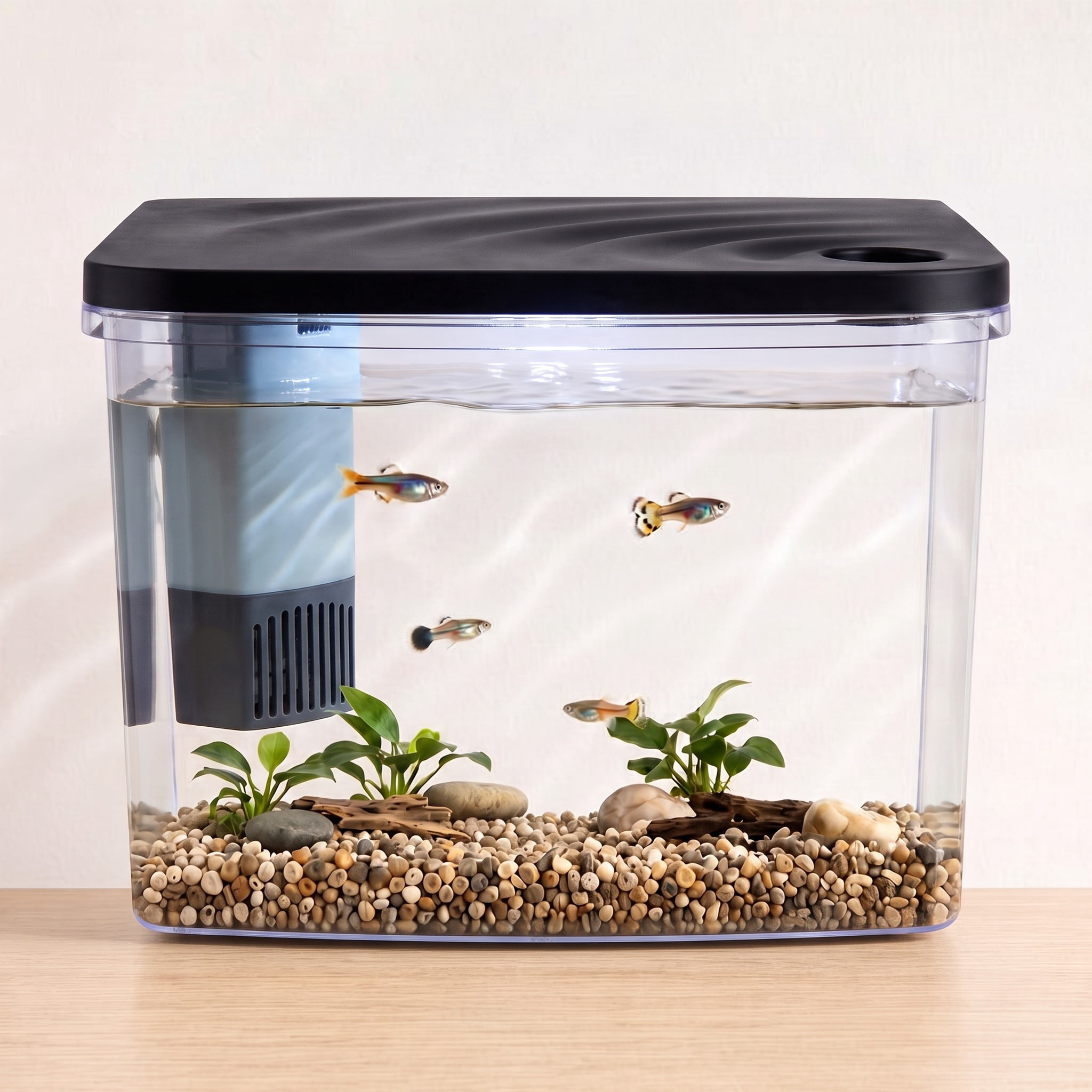 Vibrant Life 5-Gallon Bow-Front Glow/White Aquarium Starter Kit