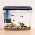 thumbnail image 3 of Vibrant Life 5-Gallon Bow-Front Glow/White Aquarium Starter Kit, 3 of 7