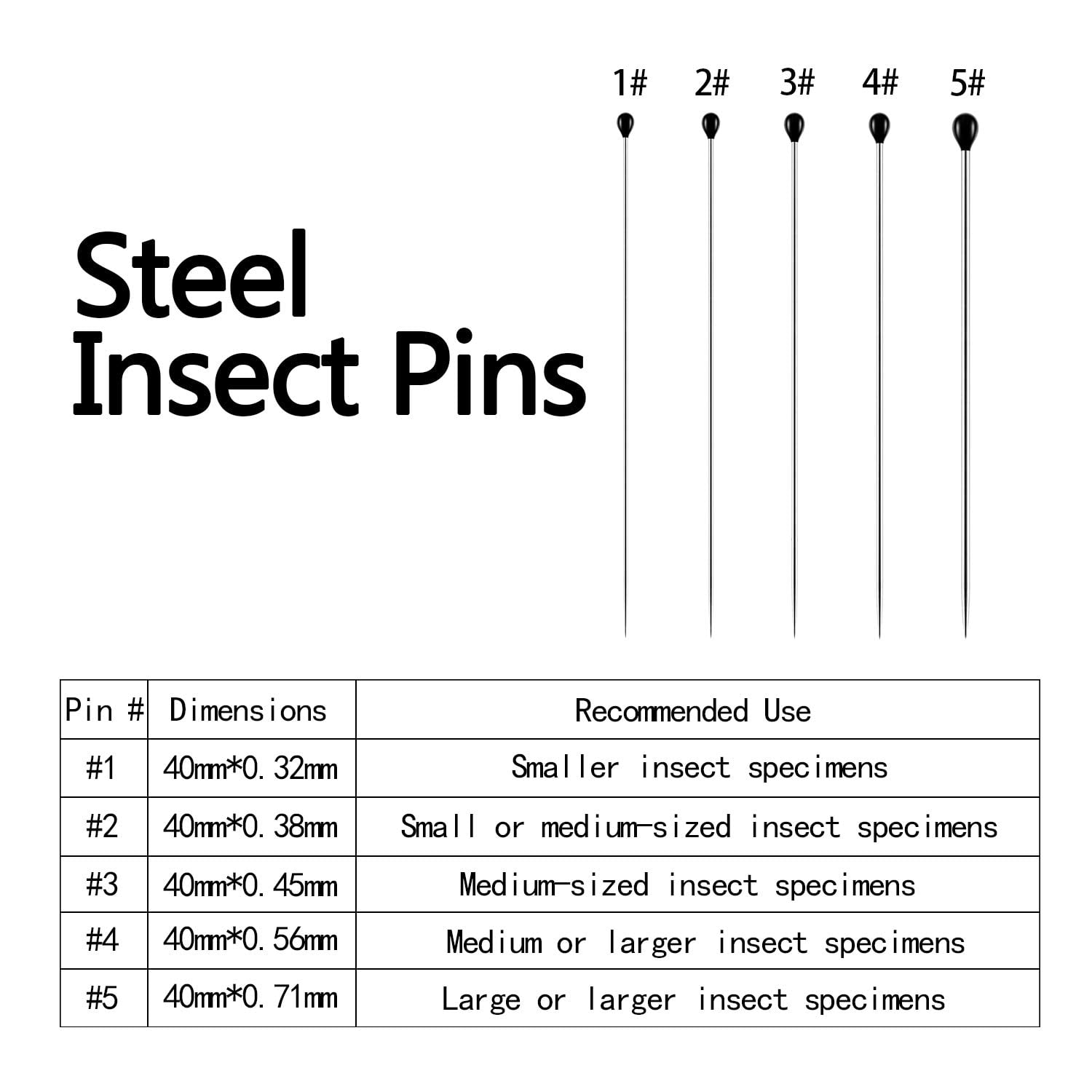 500 Pieces Stainless Steel Insect Pins Specimen Pins Entomology Pins Dissection and Butterfly Collections Needle for School Lab Entomology Dissection Butterfly Collectors