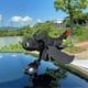 thumbnail image 2 of How to Train Your Dragon Toothless Little Flying Dragon Doll 27CM A, 2 of 5
