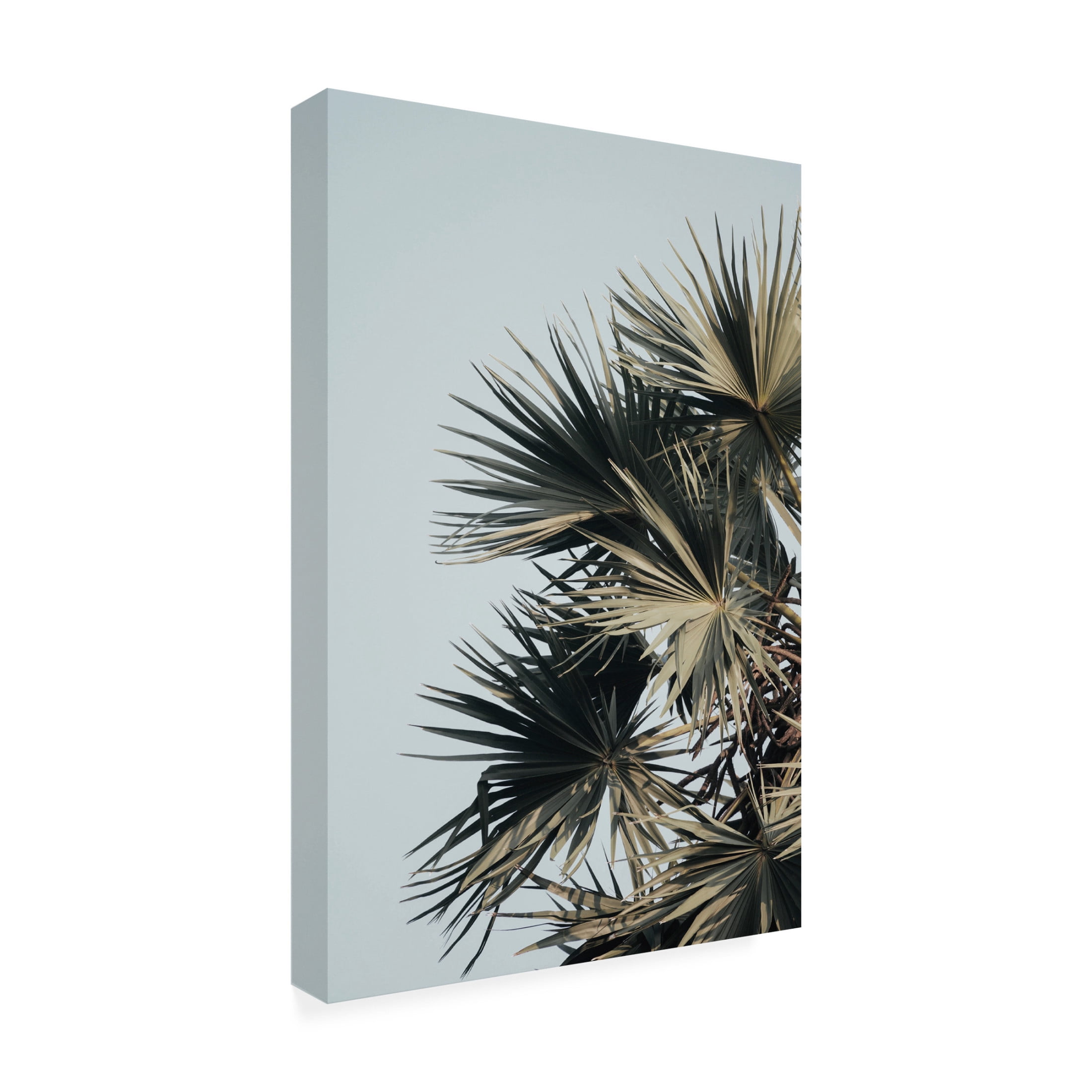Canvas Wall Art - Krista Broadway 'Buxton' Wall Art for Living Room, Bedroom, or Office Décor by Trademark Fine Art - 12 x 19 Inches
