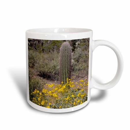 Barrel High Temperature Ceramic - 3dRose Compass Barrel Cactus, Sonoran Desert, Arizona - US03 FZU0023 - Frank Zurey, Ceramic Mug, 11-ounce