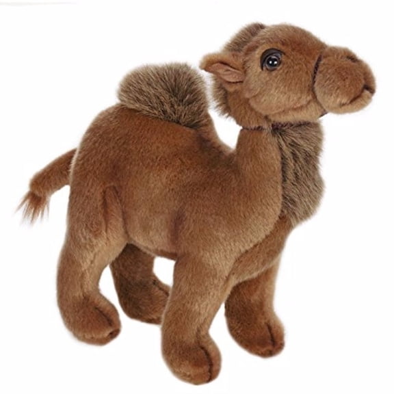 CAMEL. YOUNG 9''
