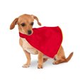 thumbnail image 4 of RuiJiao Custom Dog Cloak Premium Personalized Pet Shawl One Size with Digital Print for Parties Photo Shoots Exclusive Design, 4 of 8