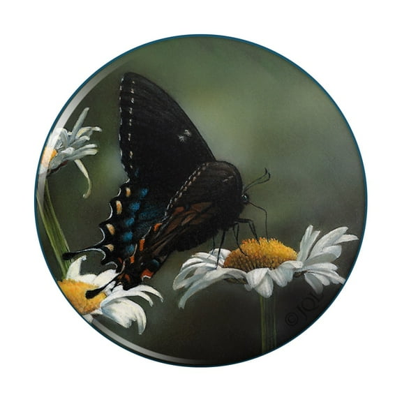 Black Swallowtail Butterfly and Daisies Pinback Button Pin