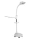 thumbnail image 3 of Lámpara de aumento lupa de luz fría LED Luz fría Altura ajustable 8X Lupa Lámpara de pie Luz de belleza Uso en salón Enchufe de EE UU 110V LYUMO Otros, 3 of 8