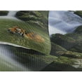 thumbnail image 3 of Ambesonne Savannah Quilted Coverlet 3 Pcs, Siberian Tigers in Lake, Queen Size, Reseda Green and Orange, 3 of 4
