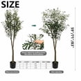 thumbnail image 3 of ShadeMart 83" Tall Artificial Olive Tree with Realistic Leaves and Olives, Fake Olive Trees Artificial Indoor, Realistic Large Olive Plants for Indoor Outdoor Office Décor - Pot Style 03, 3 of 7