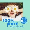 thumbnail image 5 of Plant Therapy Kids Quiet Cough Essential Oil Blend 30 mL (1 oz) 100% Pure, Undiluted, Natural Aromatherapy, 5 of 8