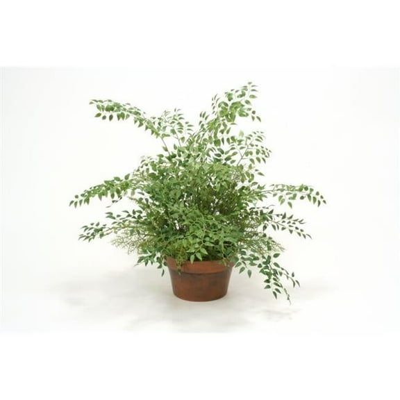 8 in. Smila x Springrii & Fern in Clay Pot, Green