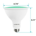 thumbnail image 5 of Luxrite LED PAR38 Flood Green Light Bulb, 8W=45W, Damp Rated, UL Listed, E26 Base, Indoor Outdoor, Decoration, 5 of 7