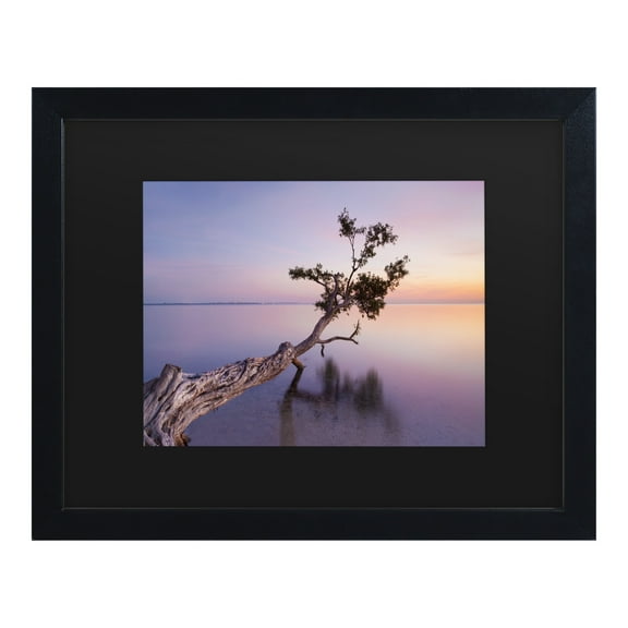 Moises Levy 'Water Tree Xv' Matted Framed Art