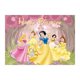 thumbnail image 5 of Fondos de vinilo para fiestas de cumpleaños de princesas de Disney, decoraciones para baby shower, suministros para baby shower, Cenicienta, Sofía, Blancanieves, 5 of 5