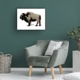 thumbnail image 4 of Jennifer Paxton Parker 'Monochrom Bison II' Canvas Art, 4 of 4