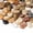 Mixed Color, variant on 10 lbs River Rocks, 1-1 1/2 inch Plant Rocks for Pots Indoor, Decorative Garden Rocks Outdoor Landscaping, Polished Natural Stone for Walkways, Yard, Vases, Crafts