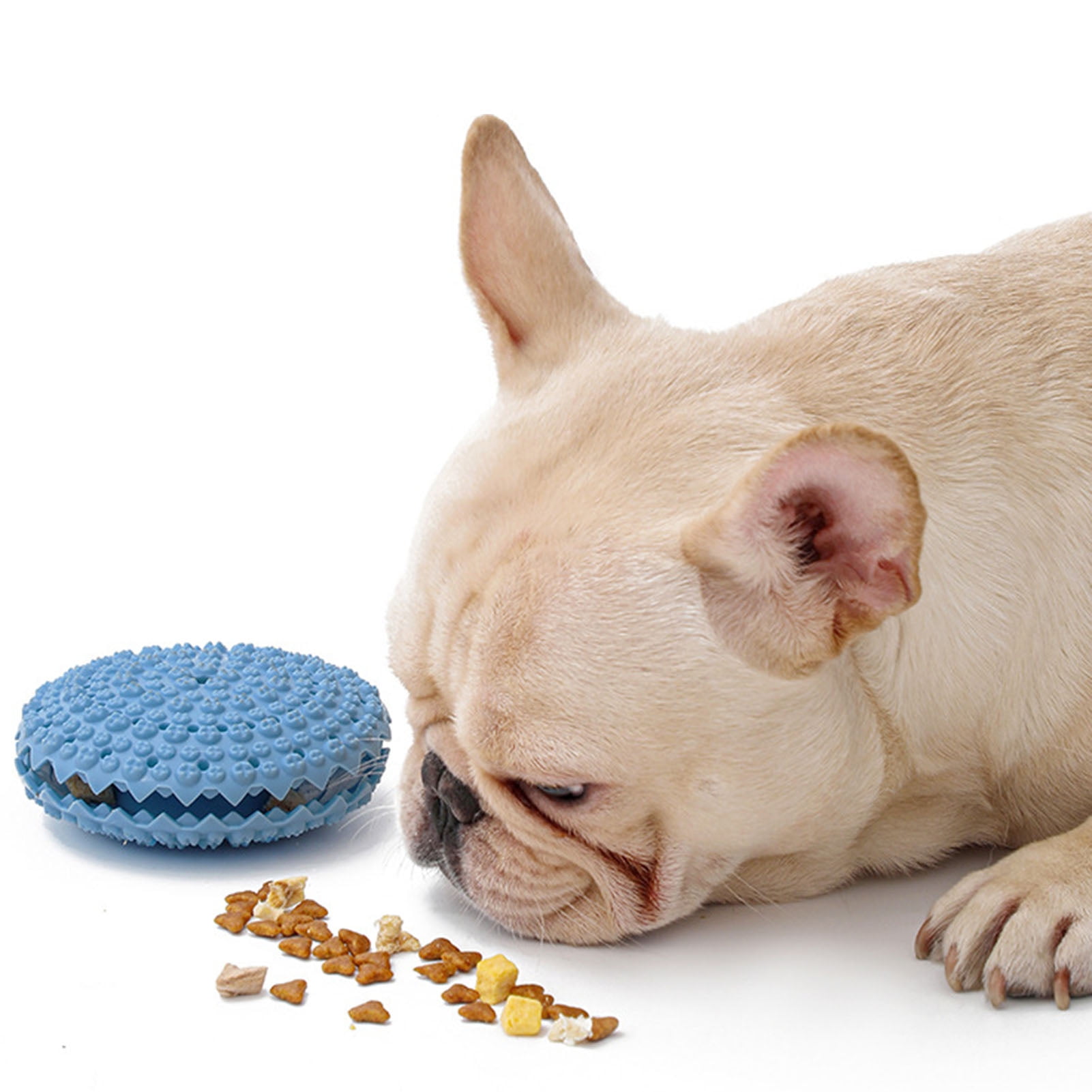 Why Do Dogs Hide Bones Inside