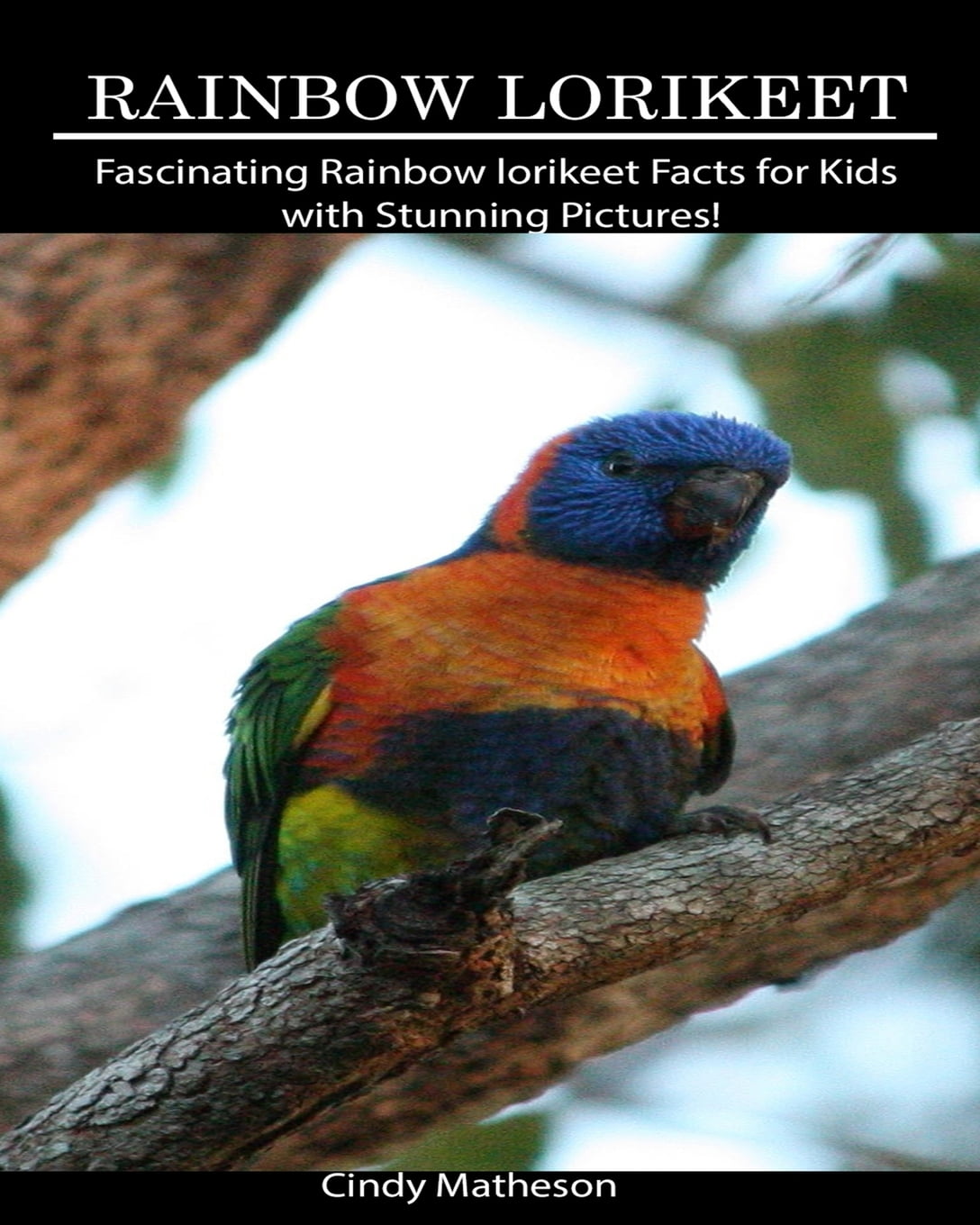 Rainbow Lorikeet Fascinating Rainbow Lorikeet Facts For Kids With