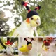 thumbnail image 5 of Mini gorro de punto para pájaro, bonito gorro de punto hecho a mano, divertido gorro para loro, accesorios para conejillo de indias y hámster, suministros para pájaros, gorro para mascota pequeña, 5 of 5