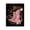 Pink Cowboy Boots Stars, variant on Stupell Industries Boots in Bloom Canvas Wall Art, design by Svetlana Aleynikova