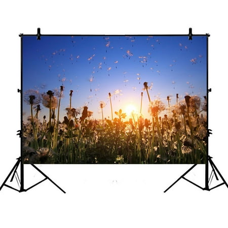 Image of PHFZK 7x5ft Blue Sky Scenery Backdrops Fluffy Dandelions with Flying Seeds at Sunset Photography Backdrops Polyester Photo Background Studio Props