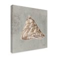 thumbnail image 2 of Trademark Fine Art 'Sand and Seashells IV' Canvas Art by Lisa Audit, 2 of 3