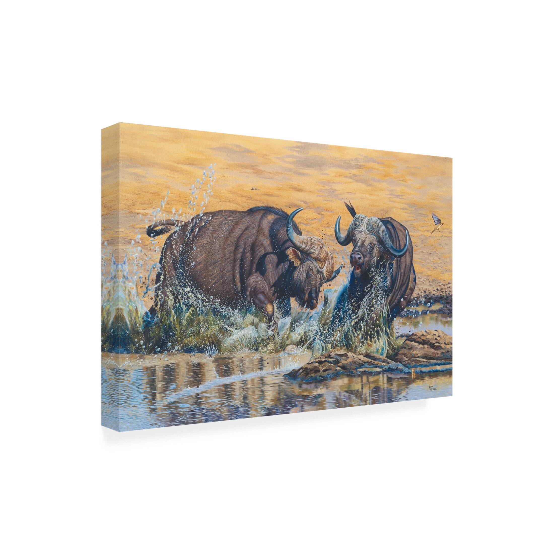Canvas Wall Art - Delene Lambert 'Buffelsfontein' Wall Art for Living Room, Bedroom, or Office Décor by Trademark Fine Art - 47 x 30 Inches