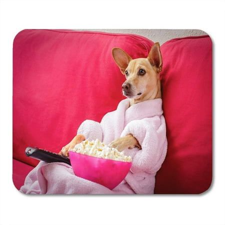 SIDONKU Chihuahua Dog Watching Tv Movie Sitting on Red Sofa Couch Remote Control Changing The Channels Popcorn Mousepad Mouse Pad Mouse Mat 9x10