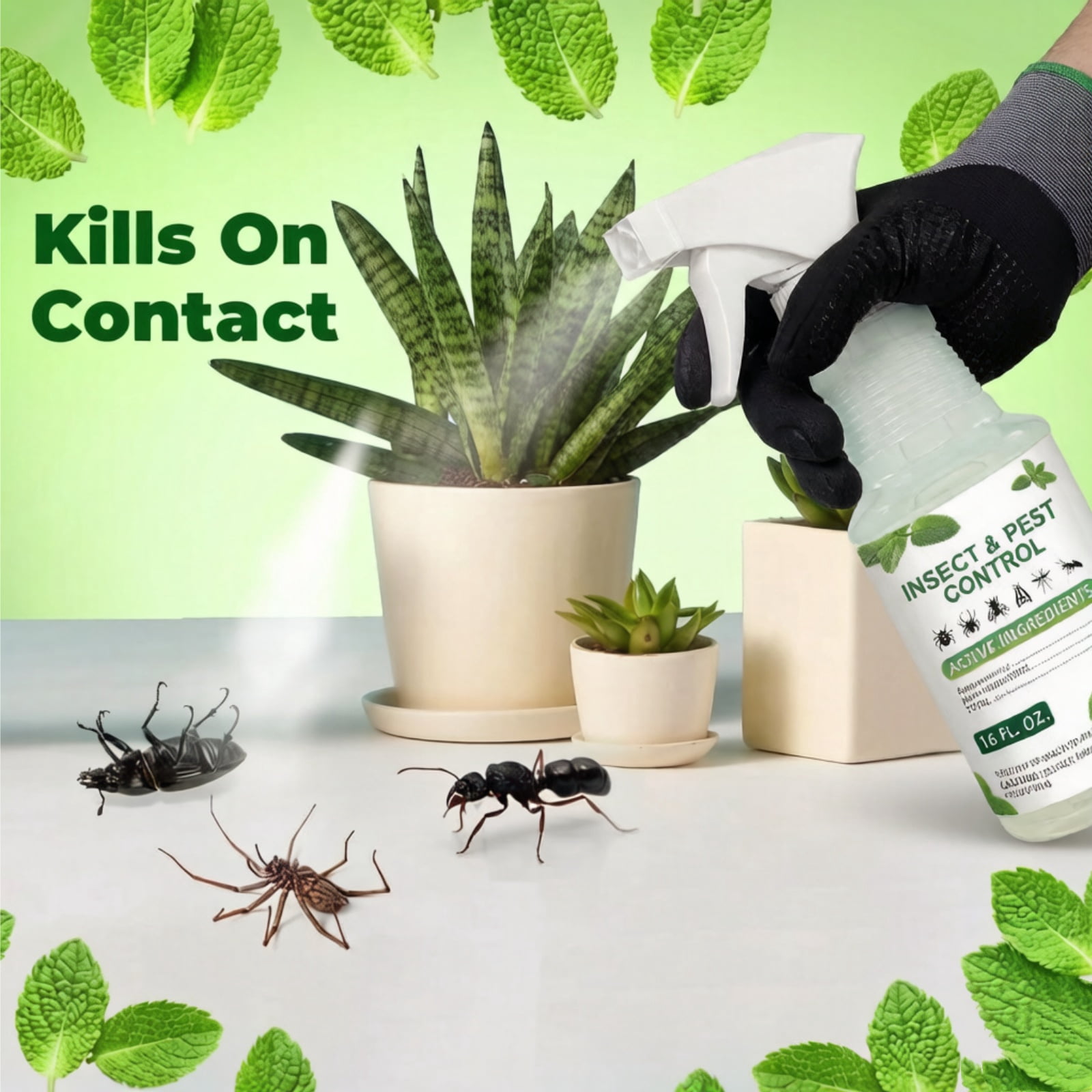 Paddsun Peppermint Oil Insect Traps Spray, 16oz Ready-to-Use Multi-Purpose Botanical Spray for Indoor & Outdoor Use Control for Spiders Ants Mosquito and More Safe for Plants and People