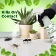 thumbnail image 4 of Paddsun Peppermint Oil Insect Traps Spray, 16oz Ready-to-Use Multi-Purpose Botanical Spray for Indoor & Outdoor Use Control for Spiders Ants Mosquito and More Safe for Plants and People, 4 of 6