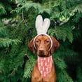 thumbnail image 4 of Bufanda de Pascua de dos caras para perros y gatos | Bandana triangular de licra multicolor | Accesorio elegante y duradero para mascotas | Babero festivo y servilleta para la hora de comer par, 4 of 5