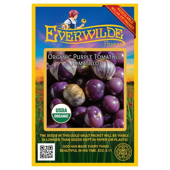 Everwilde Farms 25 Purple Tomatillo Tomatillo Plant Seeds