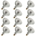thumbnail image 2 of Industrial Performance Floodlight 300R40/FL, 250 Volt, Medium Base, Frosted R40 Light Bulb (12 Pack), 2 of 2