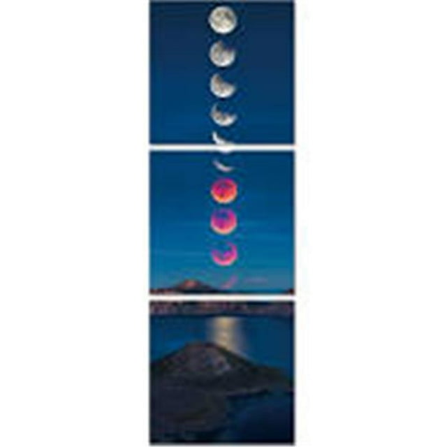 Whiteline Vie Moderne AW1326 28 x 28 Po Éclipse Acrylique Peinture Multicolore