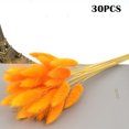 thumbnail image 3 of CAROOTU Fleurs Séchées Colorées Bouquet Éternel Fleurs Réelles pour Décoration Intérieure, 3 of 6