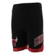 thumbnail image 2 of Short Fanatics Hombre Nba Chicago Bulls Basquetbol Negro negro XL, 2 of 5