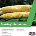 thumbnail image 2 of Sweet Corn Xtra-Tender 274A F1 Seed, 2 of 7