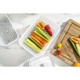 thumbnail image 4 of ZWILLING Fresh & Save Vacuum Accessory Set For Plastic Boxes, M/L / 2 Piece, 4 of 9
