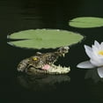 thumbnail image 2 of Garden Pond Simulation Floating Decoration, 2 of 4